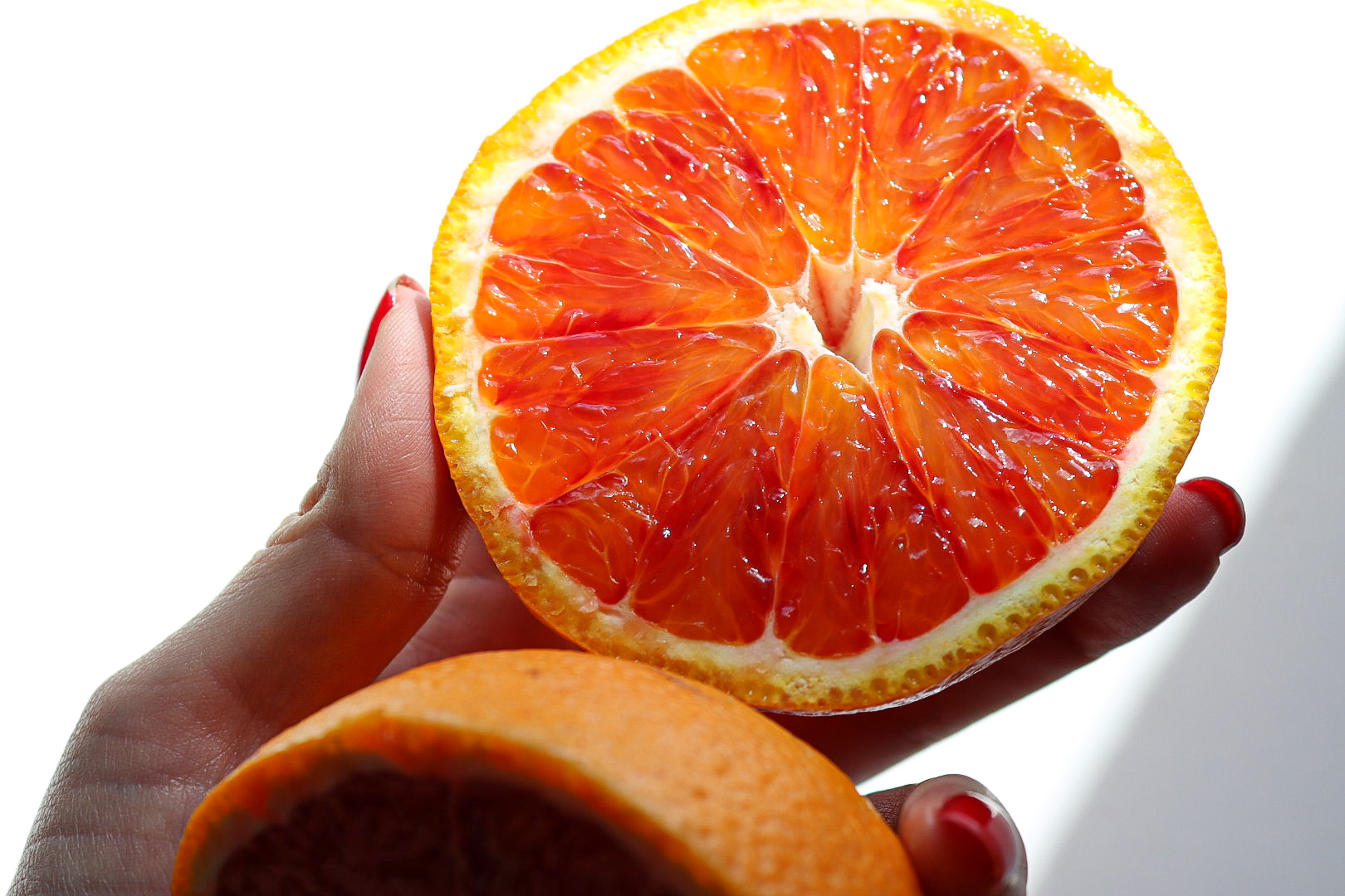 Citrus Editorial